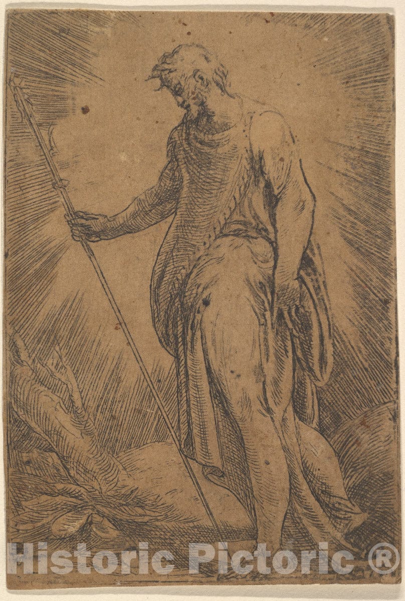 Art Print : Possibly by Andrea Schiavone (Andrea Meldola) - an Apostle Holding a Staff Facing Left : Vintage Wall Art