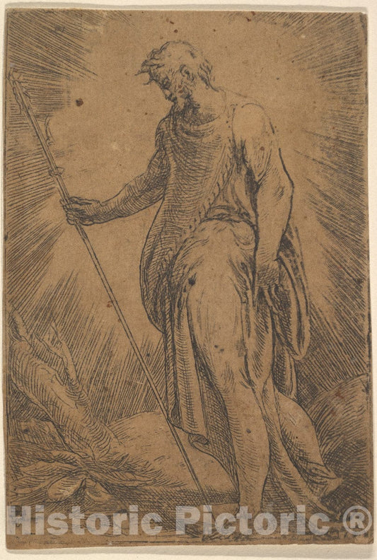 Art Print : Possibly by Andrea Schiavone (Andrea Meldola) - an Apostle Holding a Staff Facing Left : Vintage Wall Art