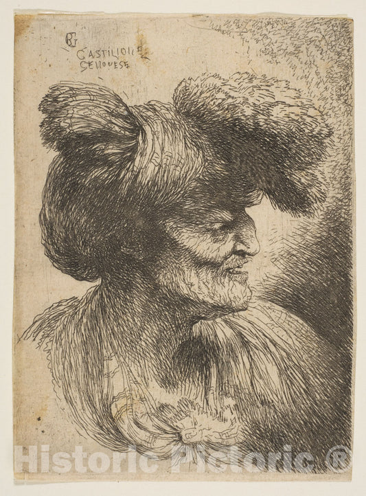 Art Print : Giovanni Benedetto Castiglione (Il Grechetto) - Bust of Beardless Old Man in Profile Facing Right : Vintage Wall Art