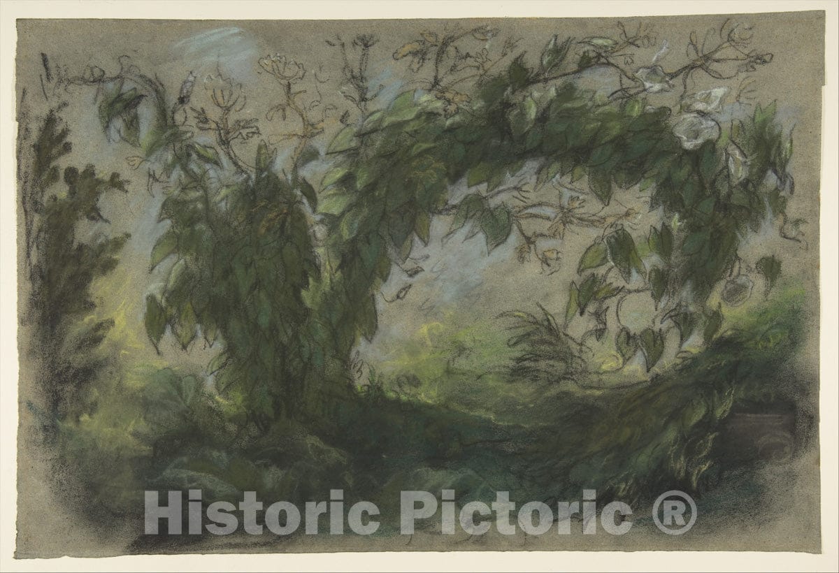 Art Print : Eugène Delacroix - Arch of Morning Glories, Study for A Basket of Flowers : Vintage Wall Art