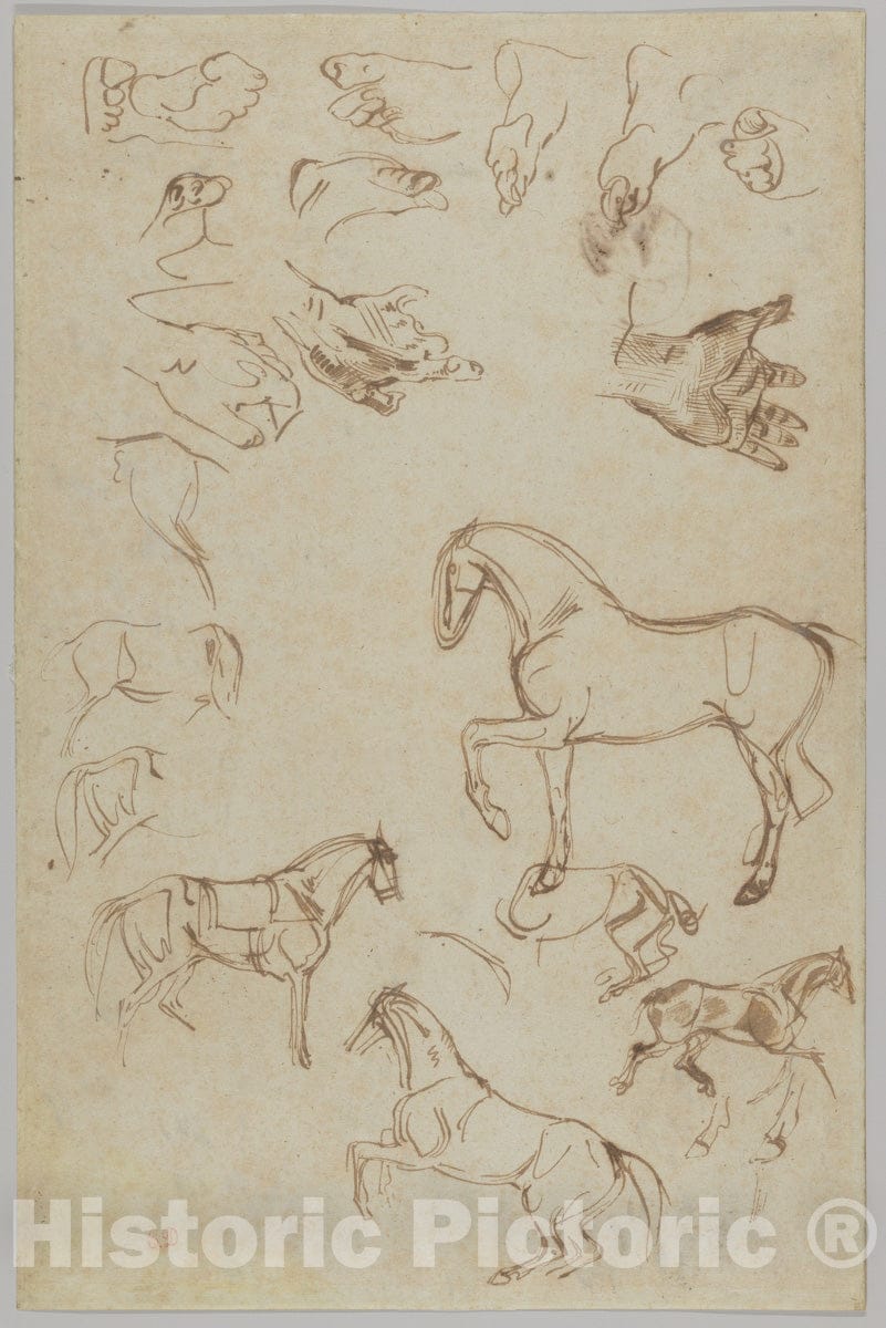 Art Print : Eugène Delacroix - Nineteen Studies of Horses, Hands, and Feet (r.); Studies of Heads and Figures (v.) : Vintage Wall Art