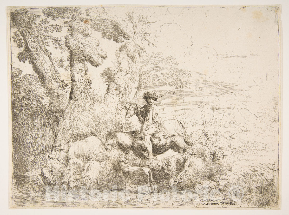 Art Print : Giovanni Benedetto Castiglione (Il Grechetto) - Young Herdsman on Horseback : Vintage Wall Art