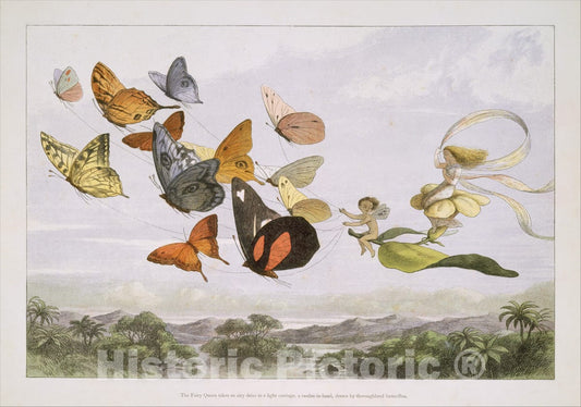Art Print : Richard Doyle - The Fairy Queen Takes an Airy Drive in a Light Carriage, a Twelve-in-Hand, Drawn by Thoroughbred Butterflies : Vintage Wall Art