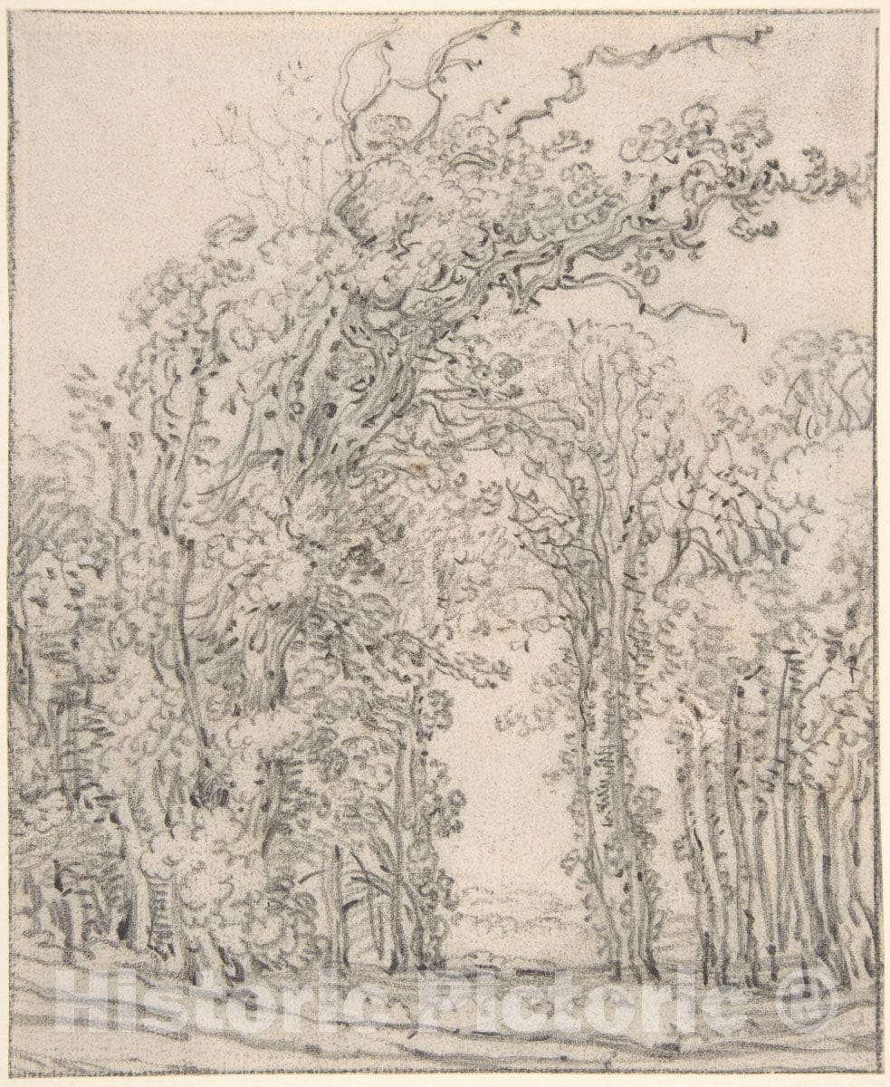 Art Print : François Ryckhals - Study of Trees : Vintage Wall Art