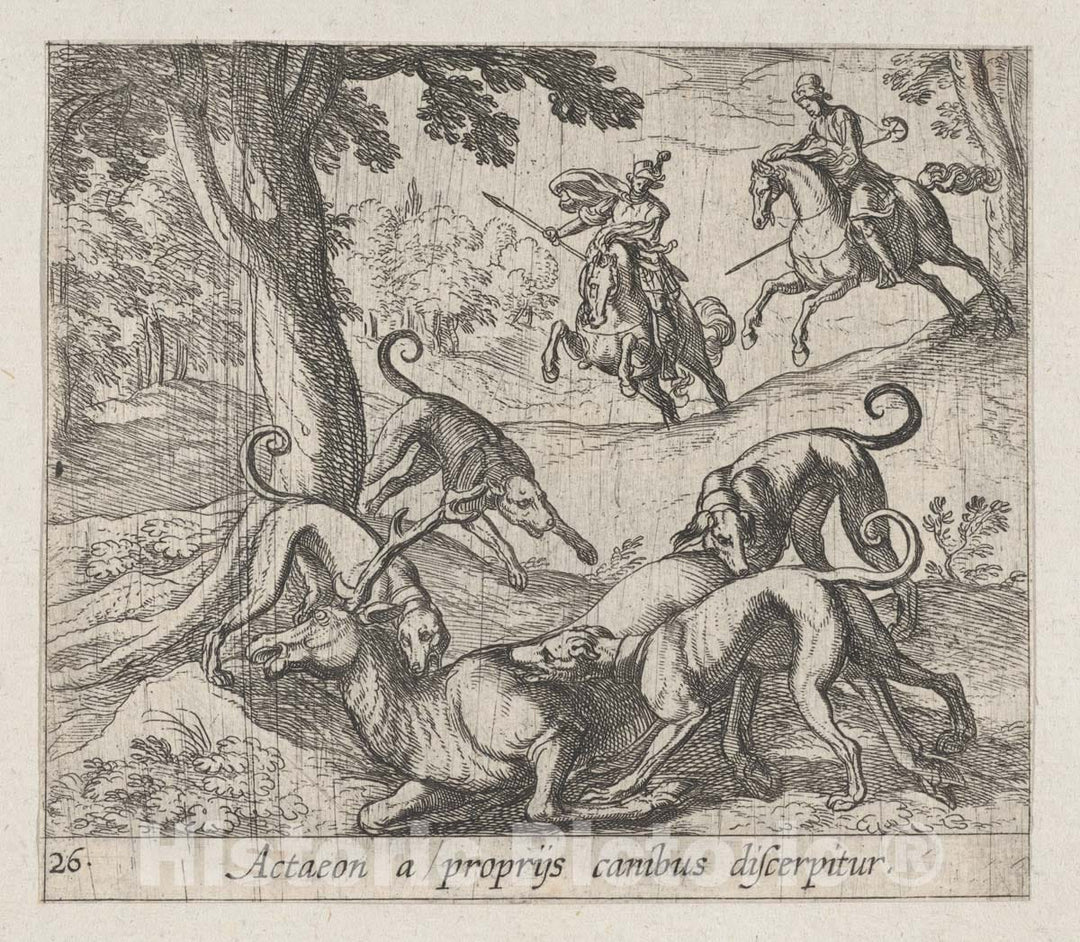 Art Print : Antonio Tempesta - Plate 26: Actaeon Killed by His Dogs (Actaeon a proprÿs canibus discerpitur), from Ovid's 'Metamorphoses' : Vintage Wall Art