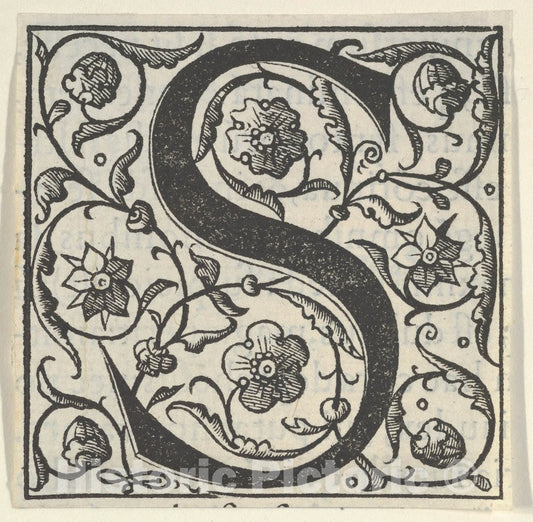 Art Print : Initial Letter S with Garlands : Vintage Wall Art