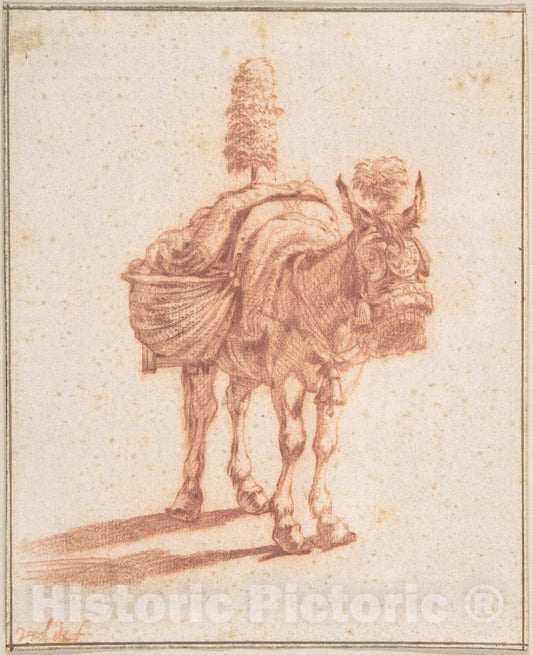 Art Print : Adriaen Van de Velde - A Donkey : Vintage Wall Art
