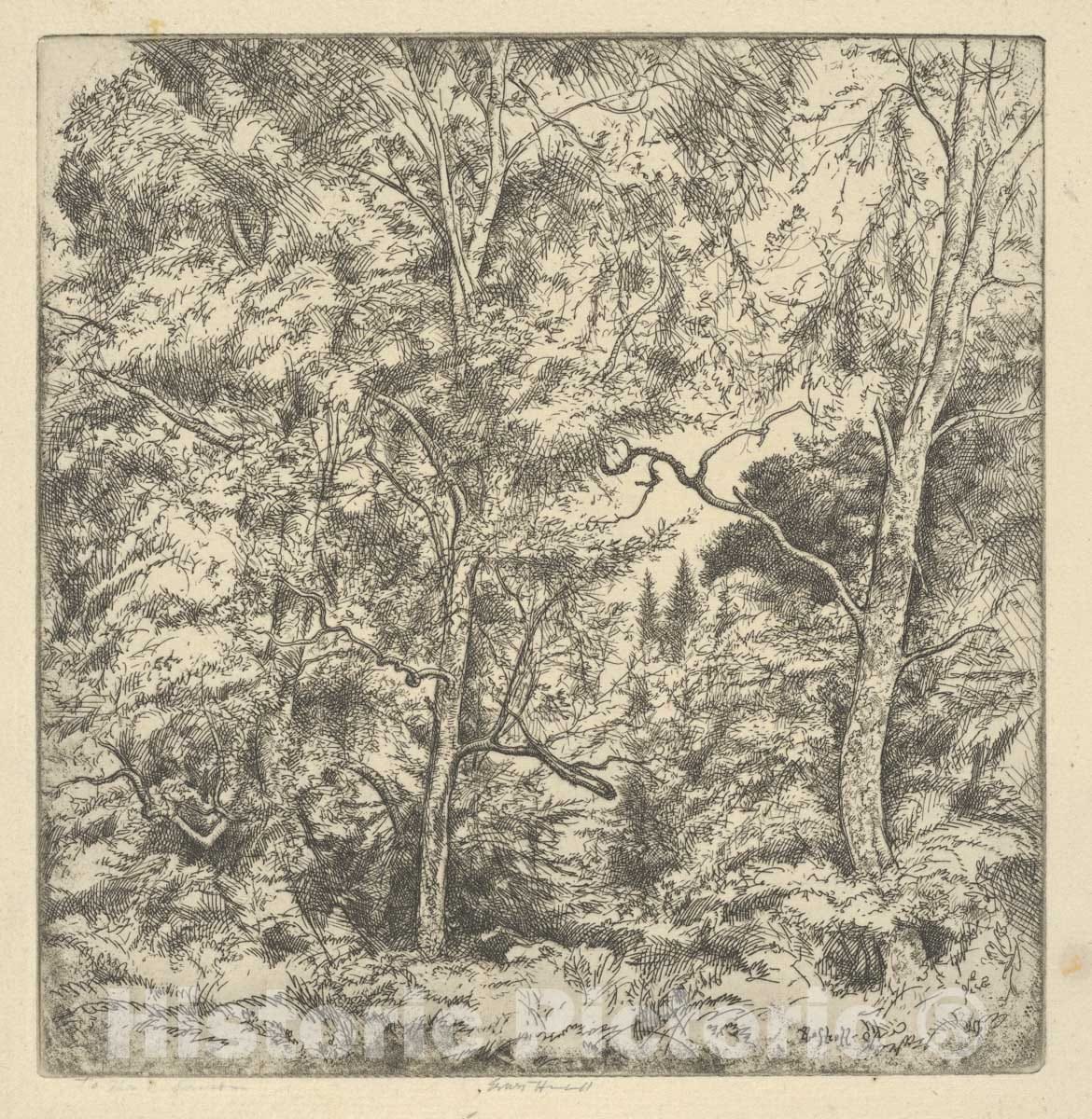 Art Print : Ernest Haskell - Three Birches : Vintage Wall Art