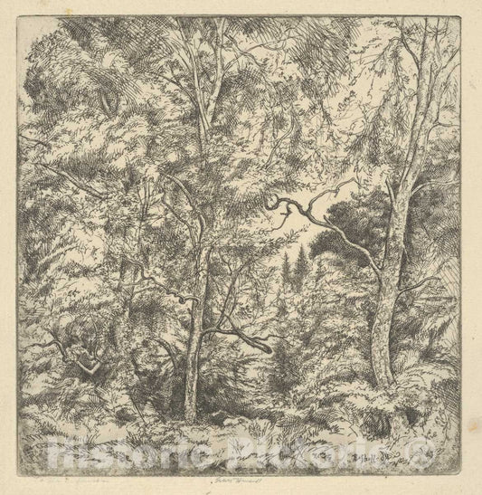 Art Print : Ernest Haskell - Three Birches : Vintage Wall Art