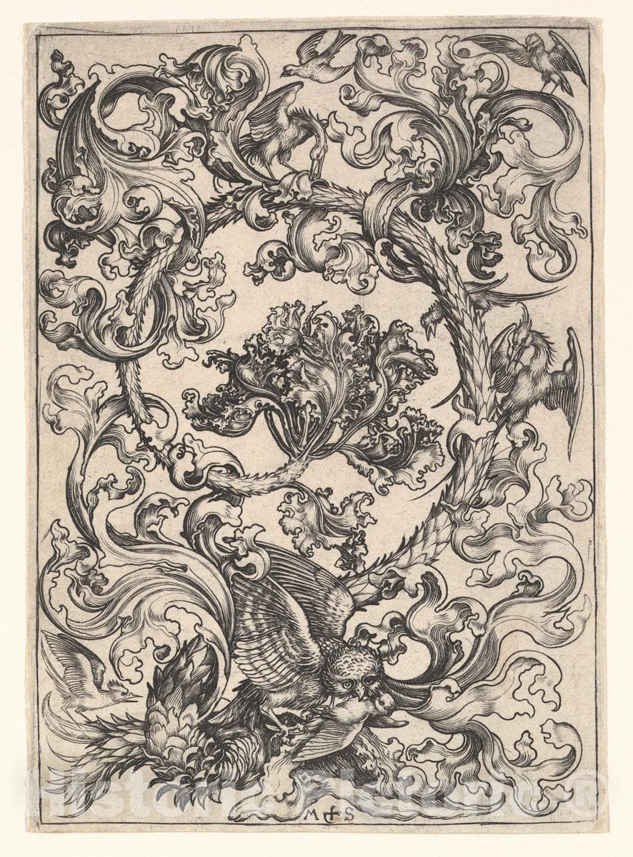 Art Print : Martin Schongauer - Ornament with Owl Mocked by Day Birds : Vintage Wall Art