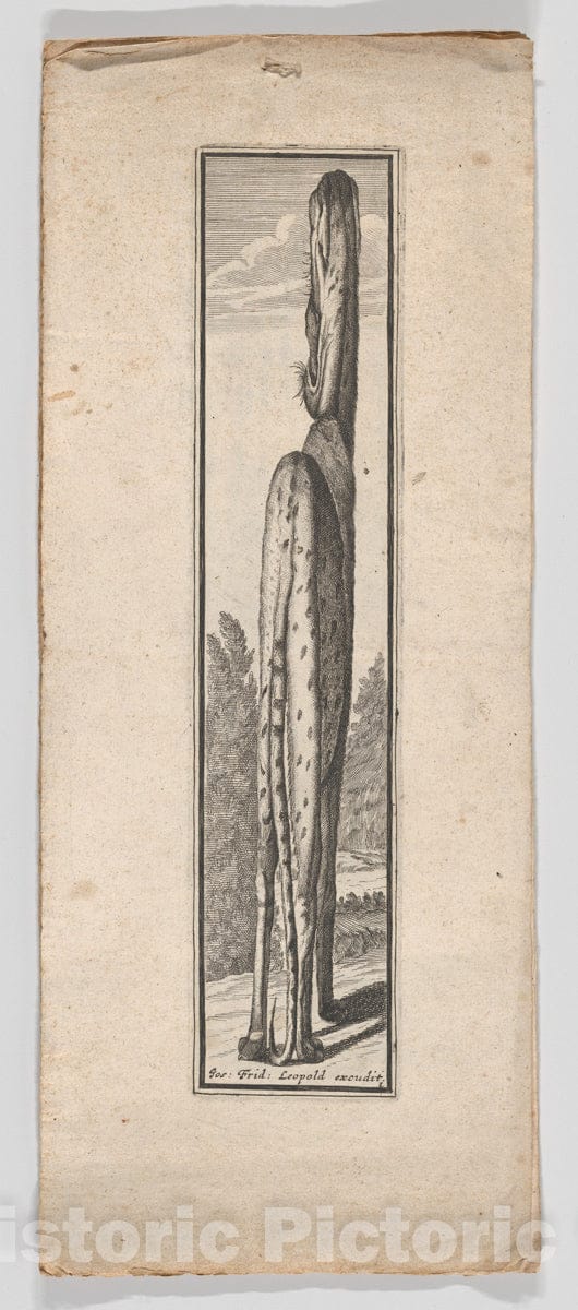 Dragable Image