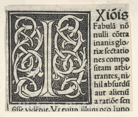 Art Print : Anonymous, Italian, 16th Century - Initial Letter I on Patterned Background : Vintage Wall Art