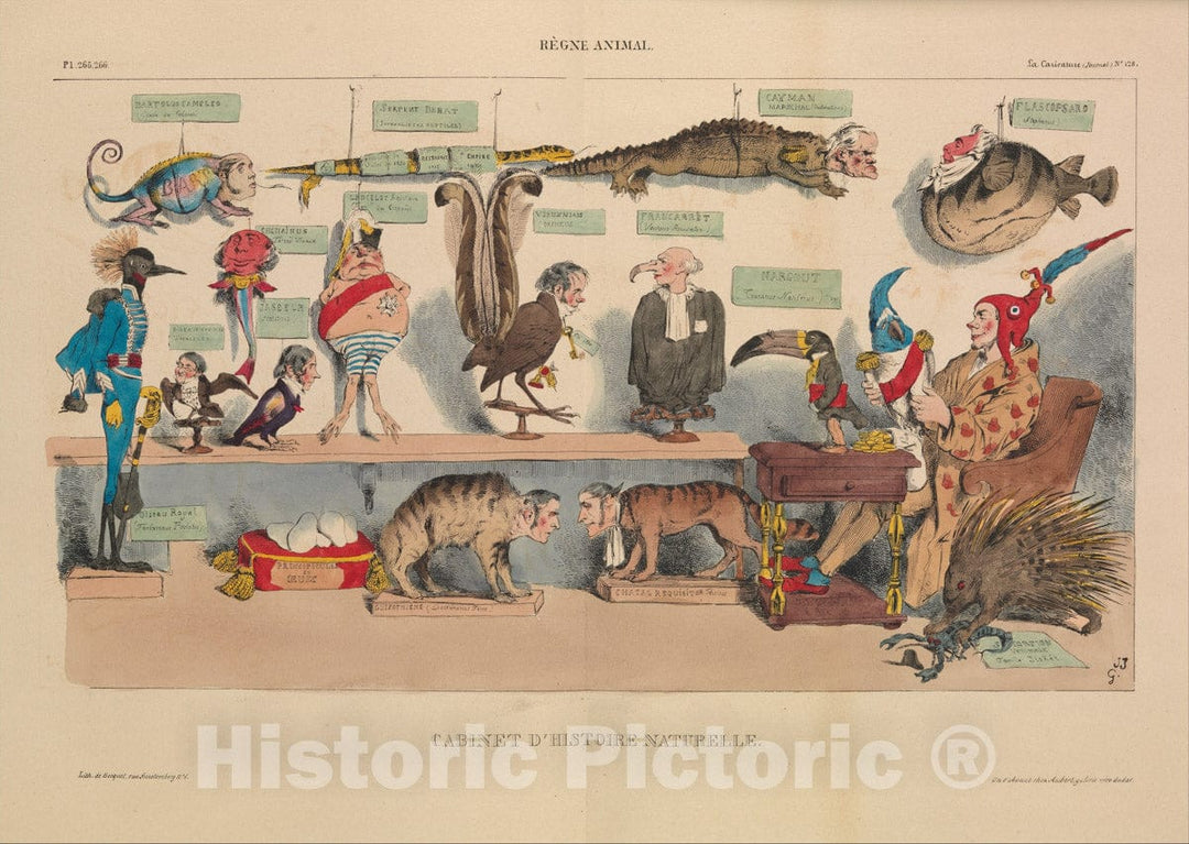 Art Print : J. J. Grandville - Animal Kingdom: Natural History Cabinet (Règne Animal: Cabinet d'histoire naturelle), from La Caricature, Plates 265 and 266 : Vintage Wall Art