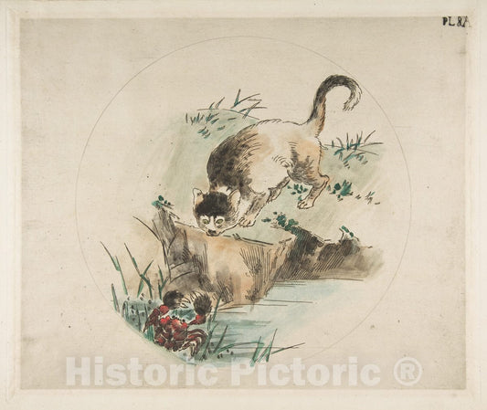 Art Print : Félix Bracquemond - Cat and Crab (Decoration for a Plate) : Vintage Wall Art