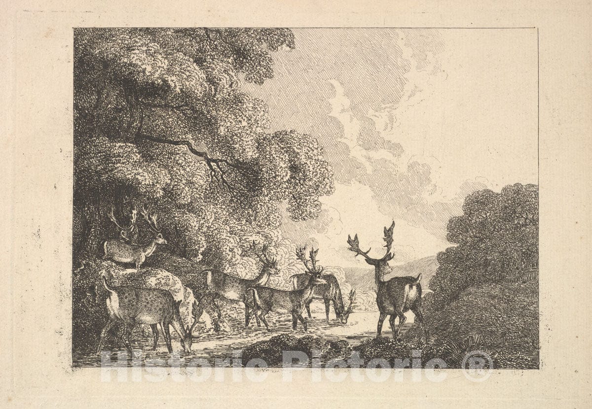 Art Print : Thomas Rowlandson - A Group of Stags Drinking : Vintage Wall Art