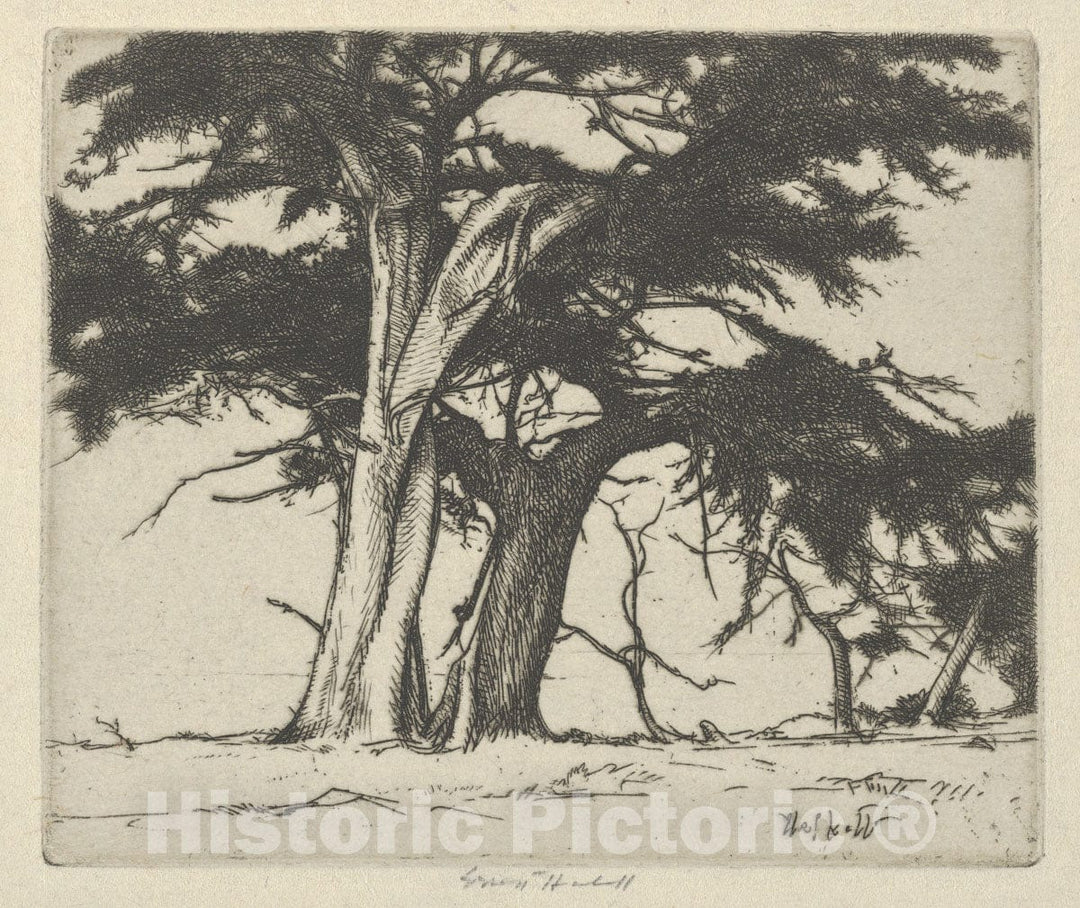 Art Print : Ernest Haskell - Companions : Vintage Wall Art