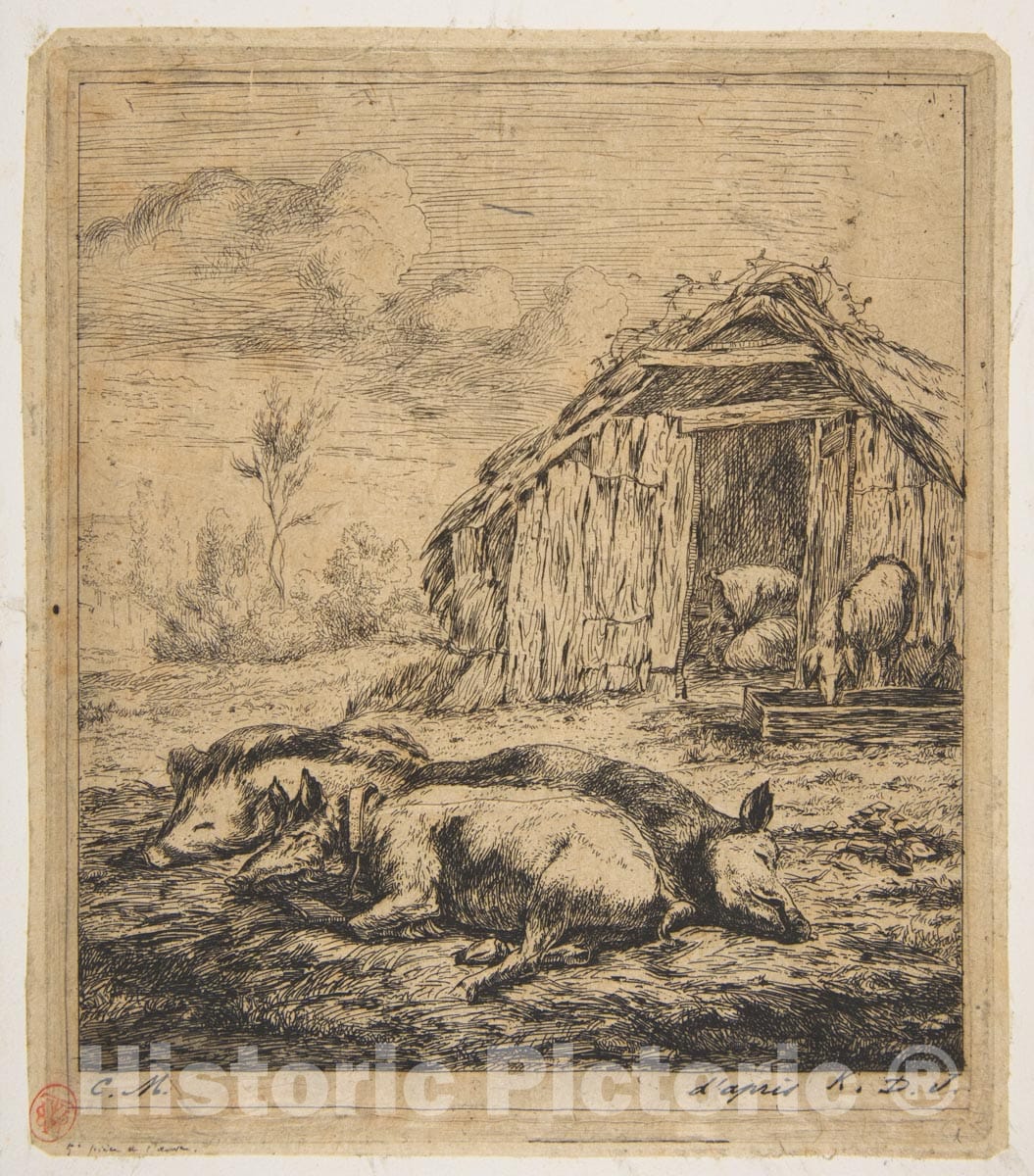 Art Print : Charles Meryon - Three Pigs Lying in Front of a Shed : Vintage Wall Art