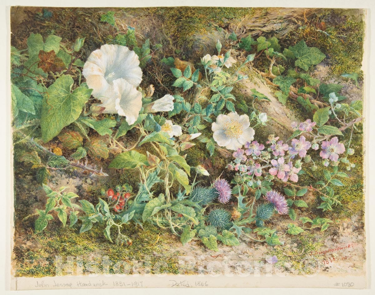 Dragable Image