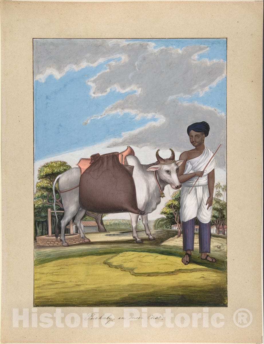 Art Print : Indian, 19th Century - Puckaly in Moor Cast, from Indian Trades and Castes : Vintage Wall Art