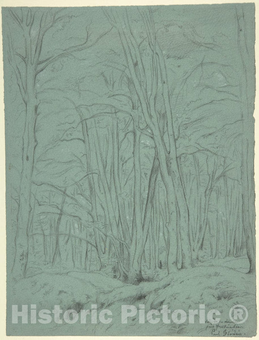 Art Print : Paul Flandrin - Forest View Near Fontainebleau : Vintage Wall Art