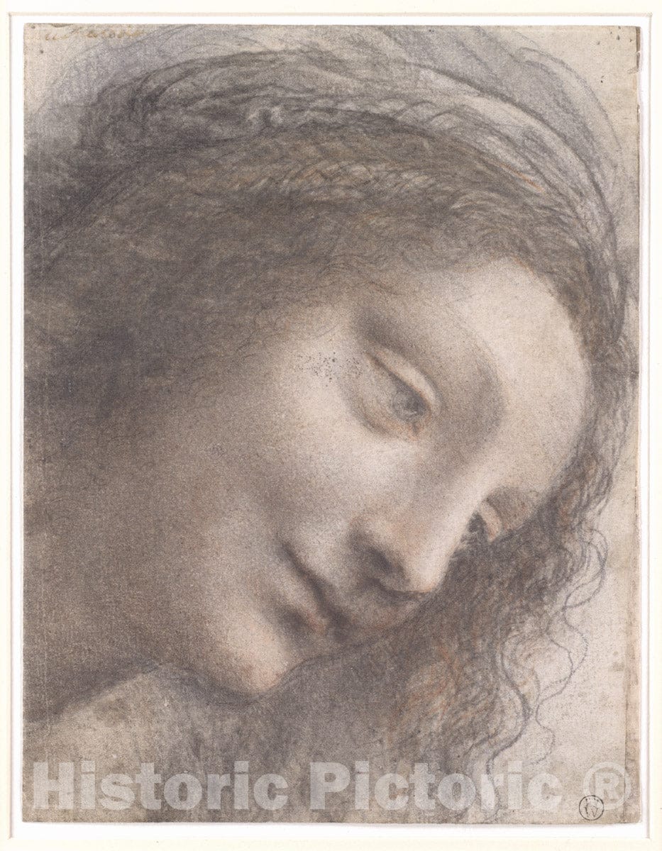 Art Print : Leonardo da Vinci - The Head of The Virgin in Three-Quarter View Facing Right : Vintage Wall Art