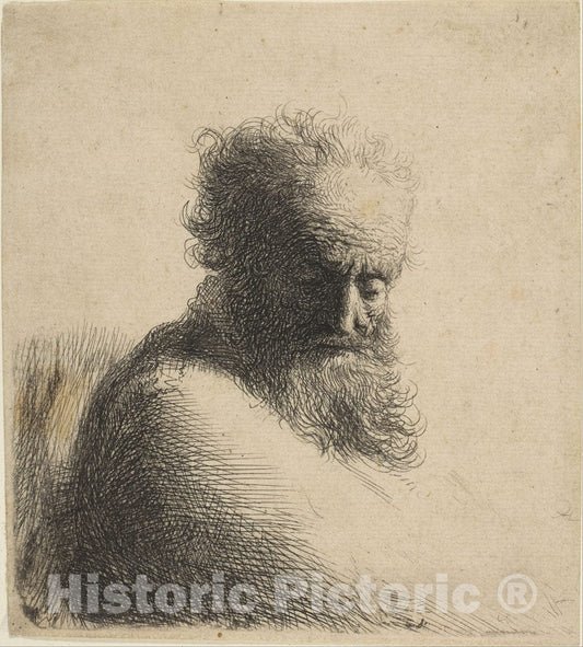 Art Print : Rembrandt (Rembrandt Van Rijn) - Bust of an Old Bearded Man Looking Down, Three-Quarters Right : Vintage Wall Art