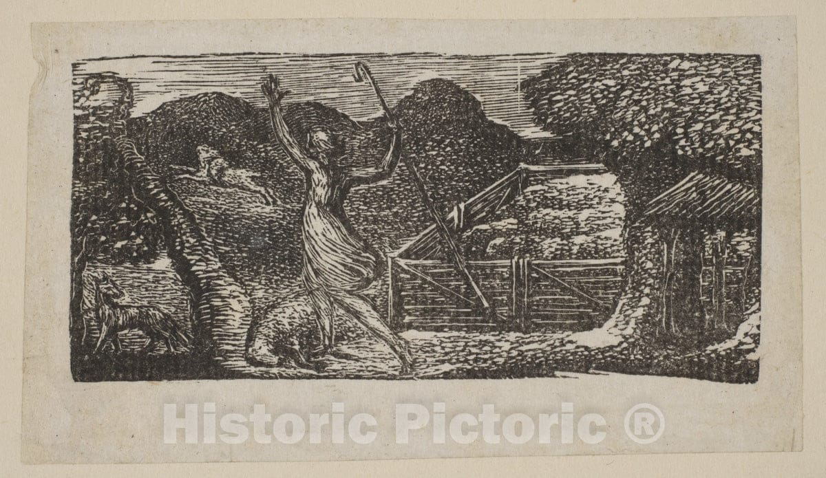 Art Print : William Blake - Shepherd Chases Away a Wolf, from Thornton's Pastorals of Virgil 2 : Vintage Wall Art