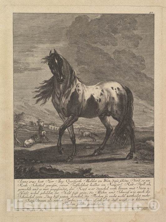 Art Print : Johann Elias Ridinger - Horse : Vintage Wall Art