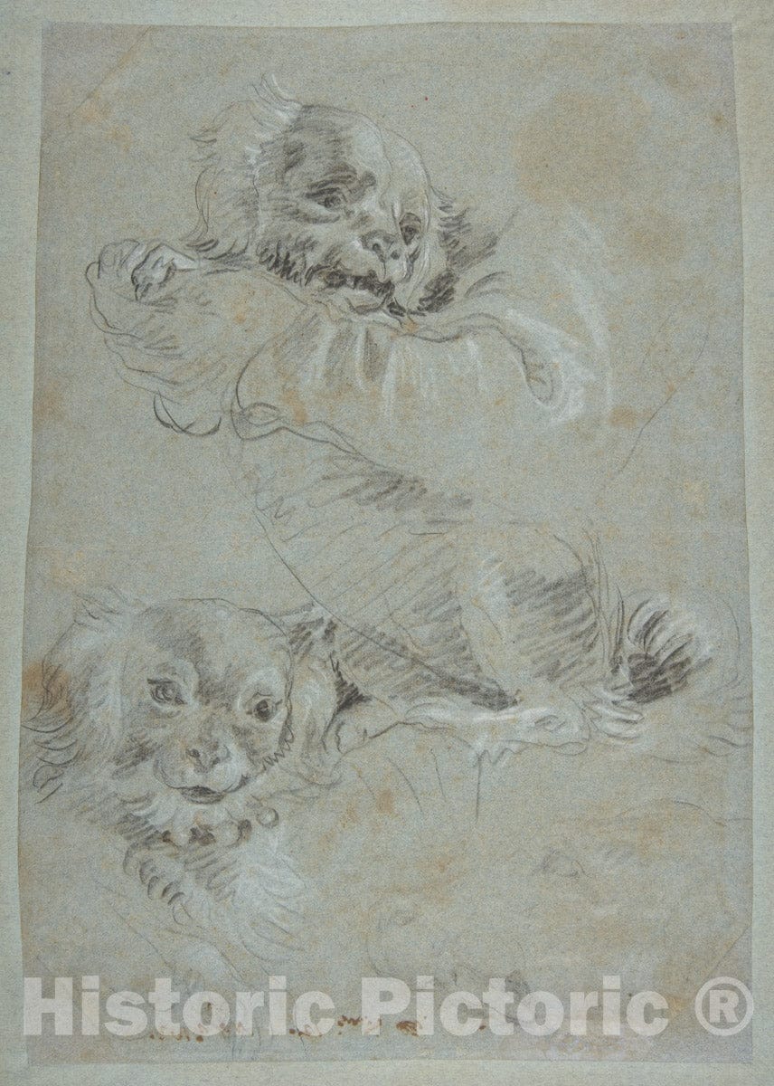 Art Print : Giovanni Domenico Tiepolo - Three Dogs, After Paolo Veronese : Vintage Wall Art