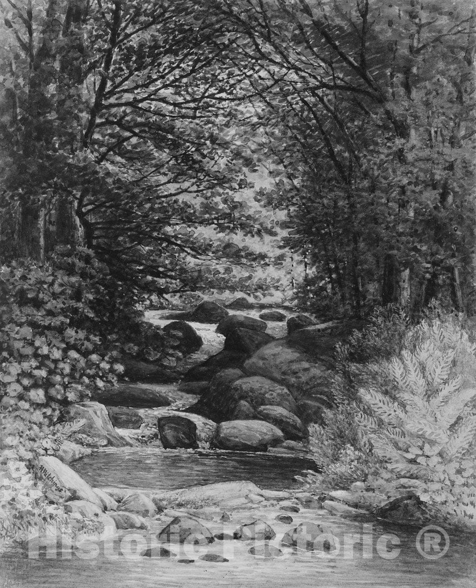 Art Print : Henry Hitchings - A Forest Cascade at Hiram, Maine : Vintage Wall Art
