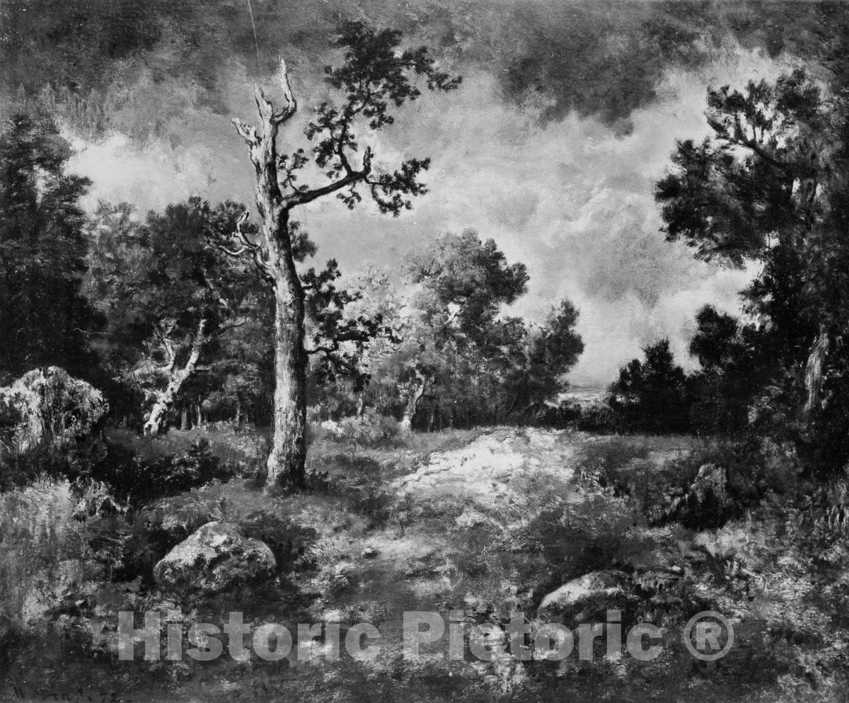 Art Print : Narcisse-Virgile Diaz de la Peña - The Edge of The Woods : Vintage Wall Art
