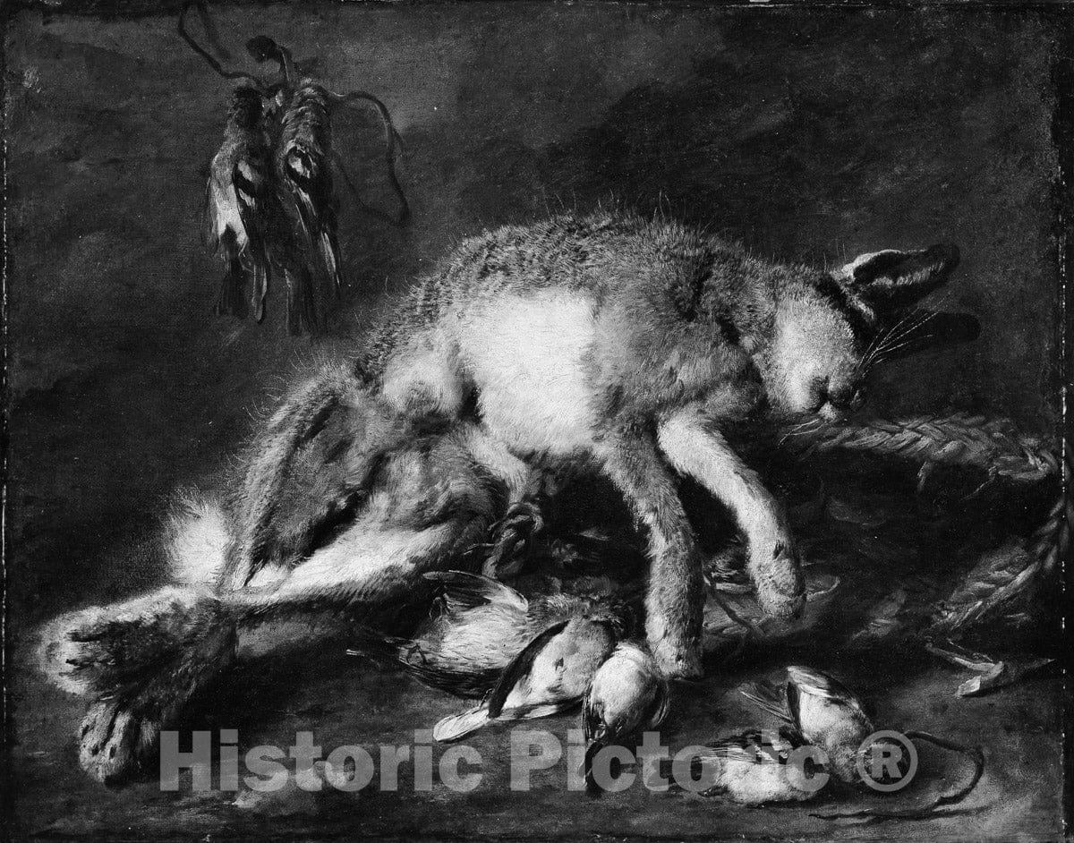 Art Print : Jan Fyt - A Hare and Birds : Vintage Wall Art