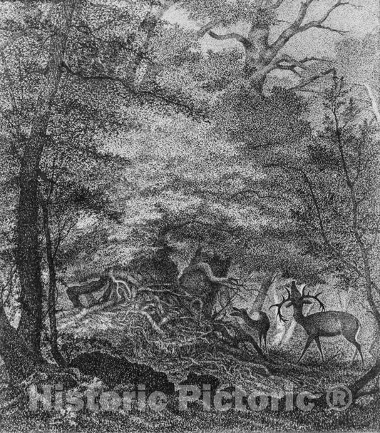 Art Print : David Pell Secor - A Refuge from The Storm (Shadow from The Heat) : Vintage Wall Art