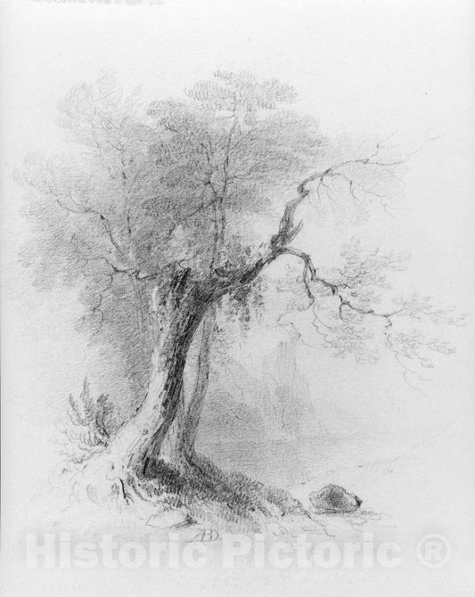 Art Print : Asher Brown Durand - Landscape (from McGuire Scrapbook) : Vintage Wall Art