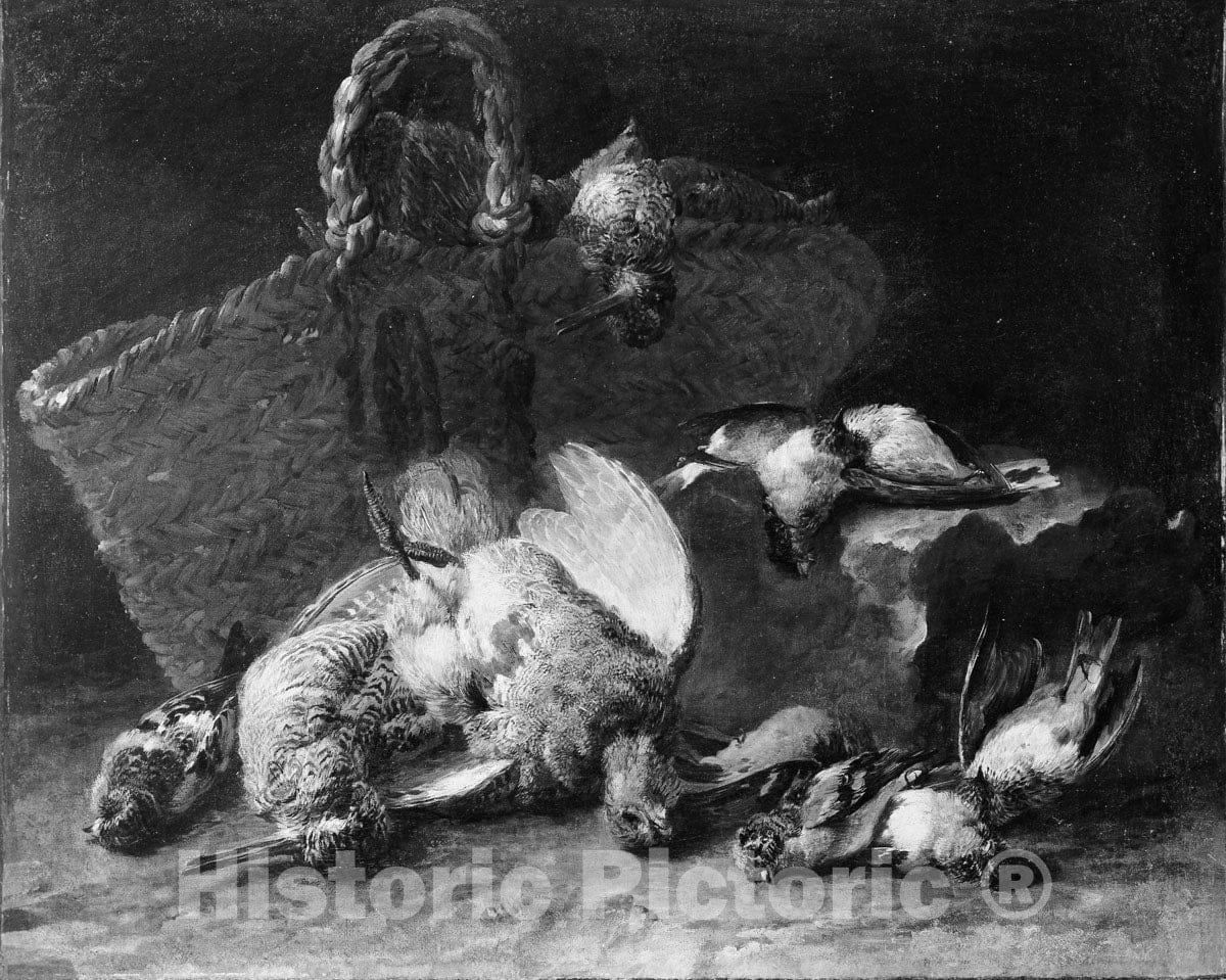 Art Print : Jan Fyt - A Basket and Birds : Vintage Wall Art