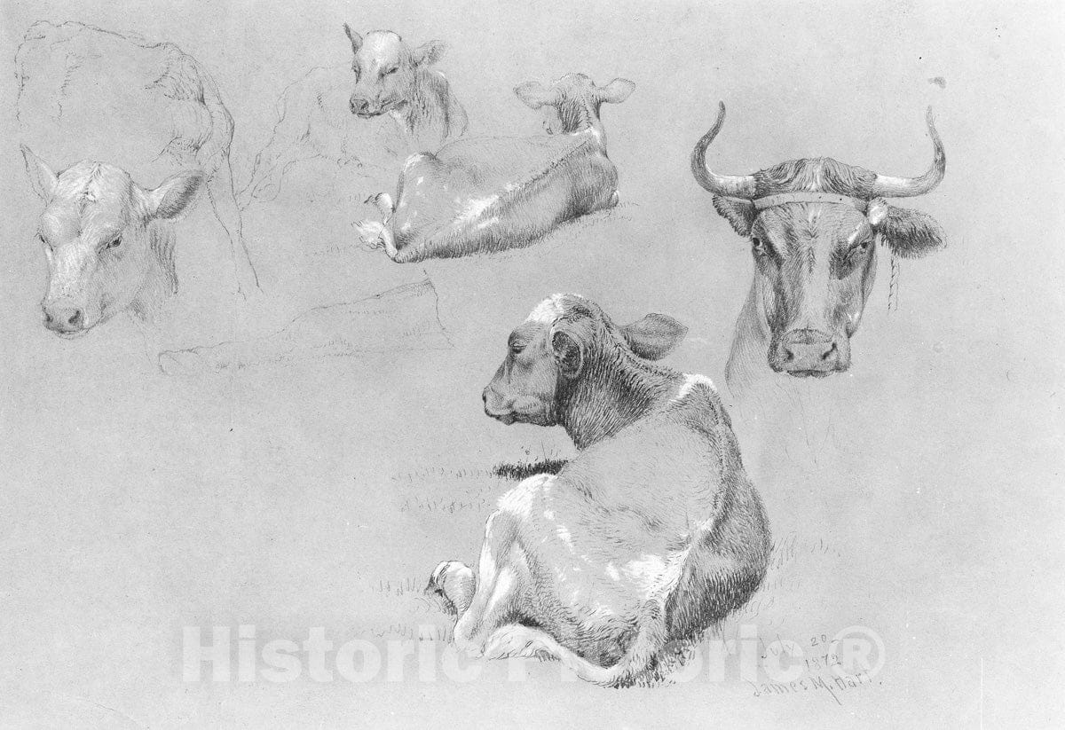 Art Print : James M. Hart - Studies of Cows and Calves : Vintage Wall Art