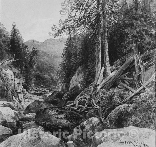 Art Print : George Henry Smillie - Ausable River : Vintage Wall Art