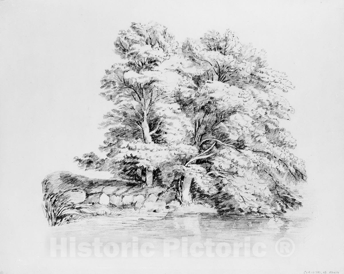 Art Print : John William Casilear - Trees by a Stream : Vintage Wall Art