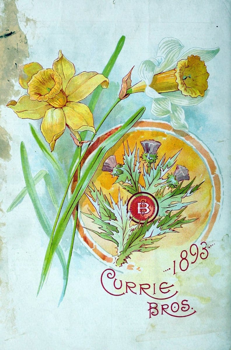 Bulbs and plants :.Milwaukee, Wis. :Currie Bros.,1908.  | "Bulbs (Plants)" Catalogs Flowers "Nurseries (Horticulture)" "Plants, Ornamental"  | Vintage Print Reproduction 446624