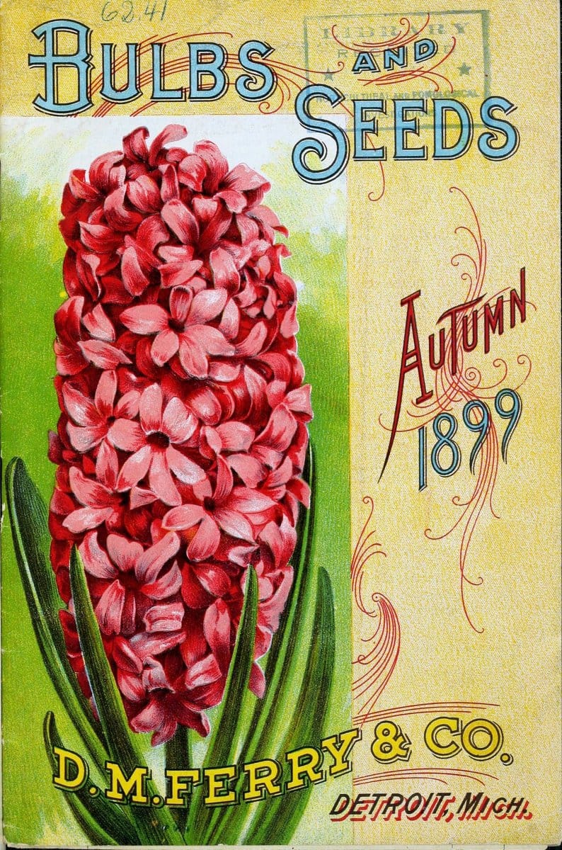 Bulbs and seeds :.Detroit, Mich. :D.M. Ferry & Co.,1896.  | "Bulbs (Plants)" Catalogs "D.M. Ferry & Co" Seeds  | Vintage Print Reproduction 446776