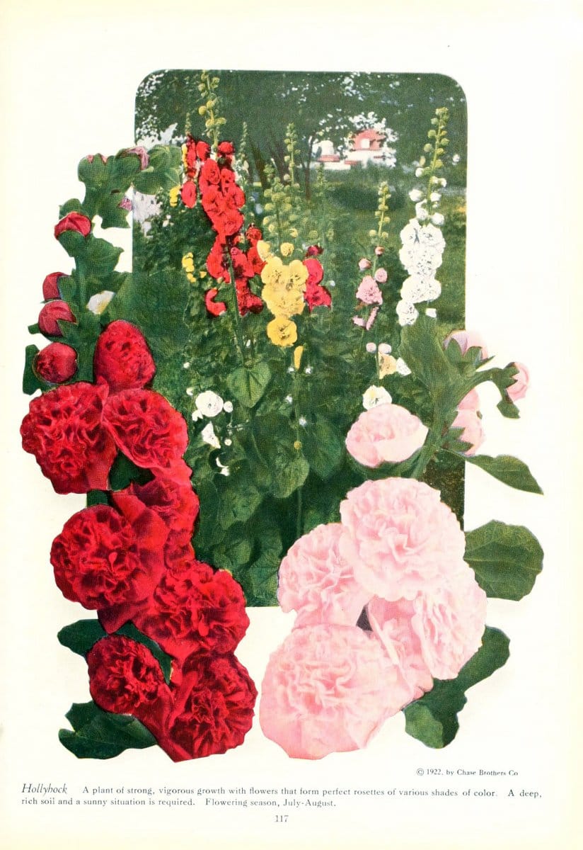 Dragable Image