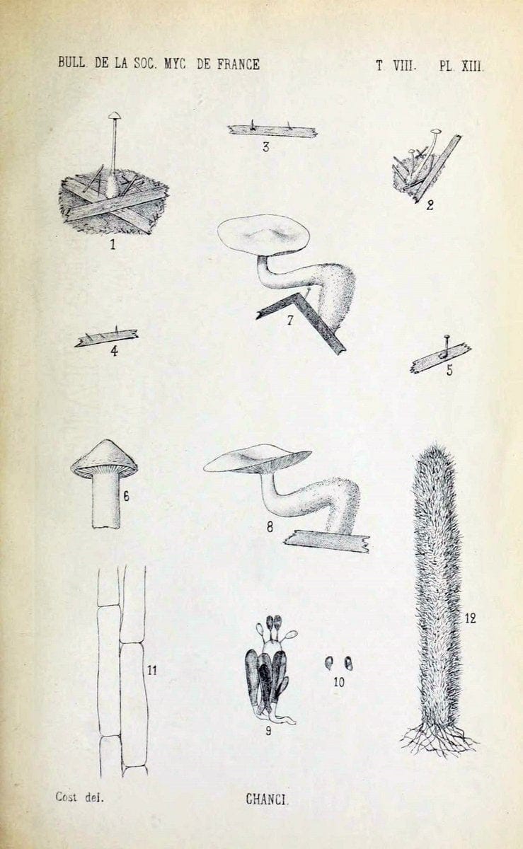 Dragable Image