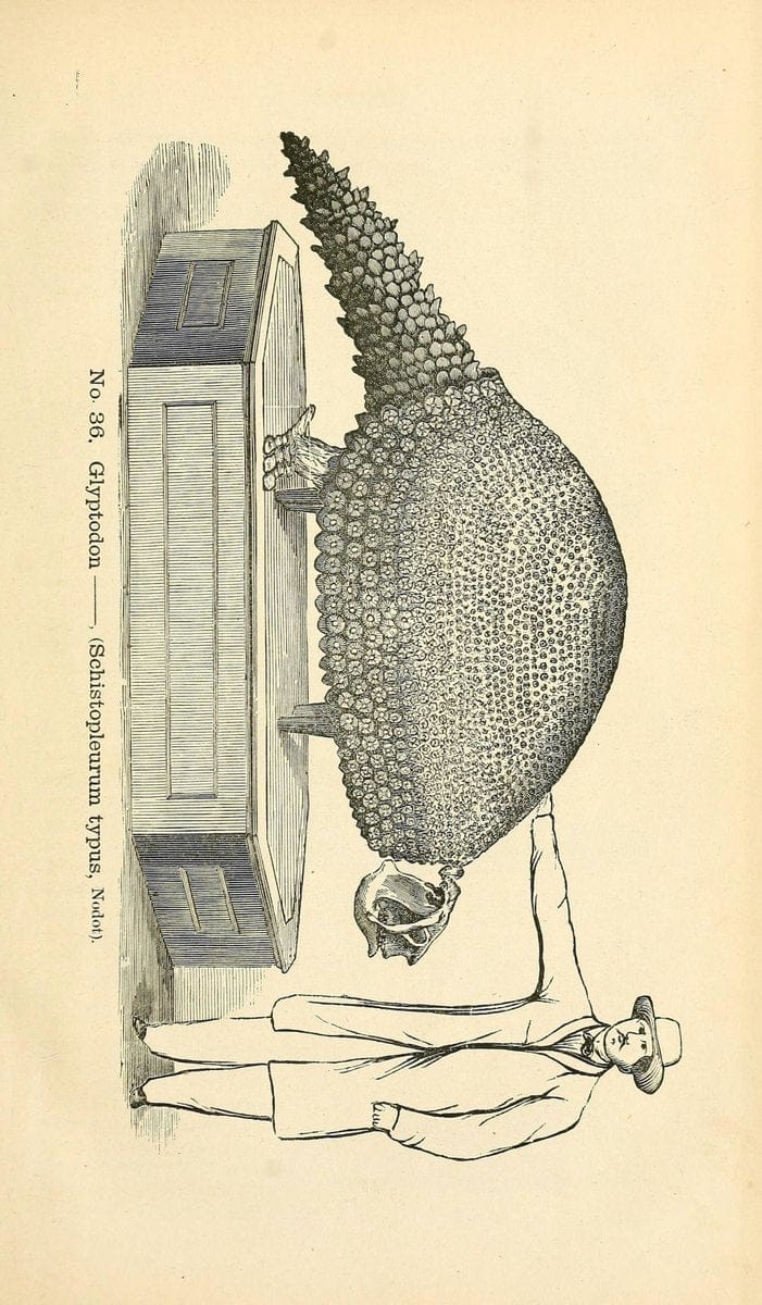 Dragable Image