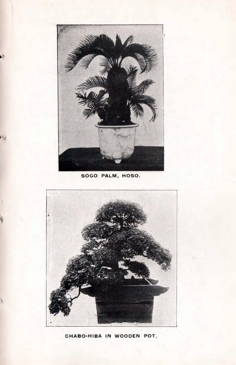 Catalogue :.New York, NY :Cleary & Co.,. | Vintage Print Reproduction 448363