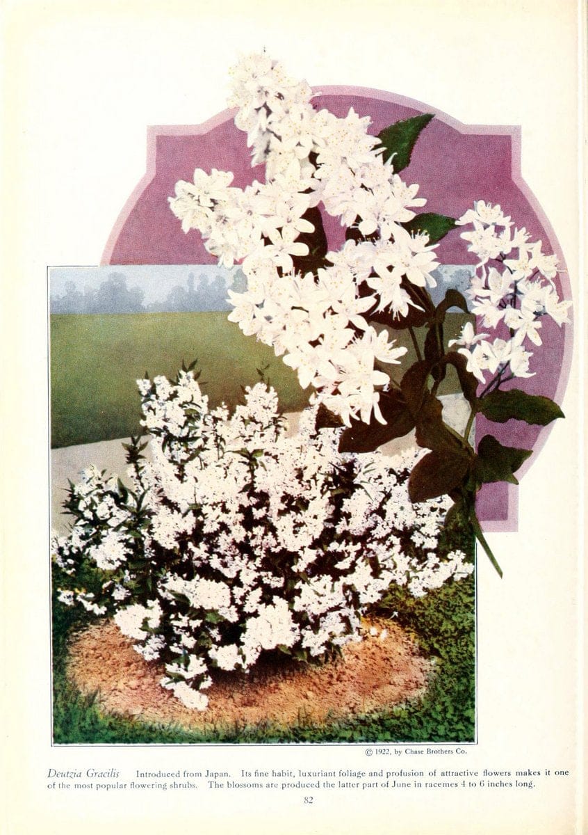 Dragable Image