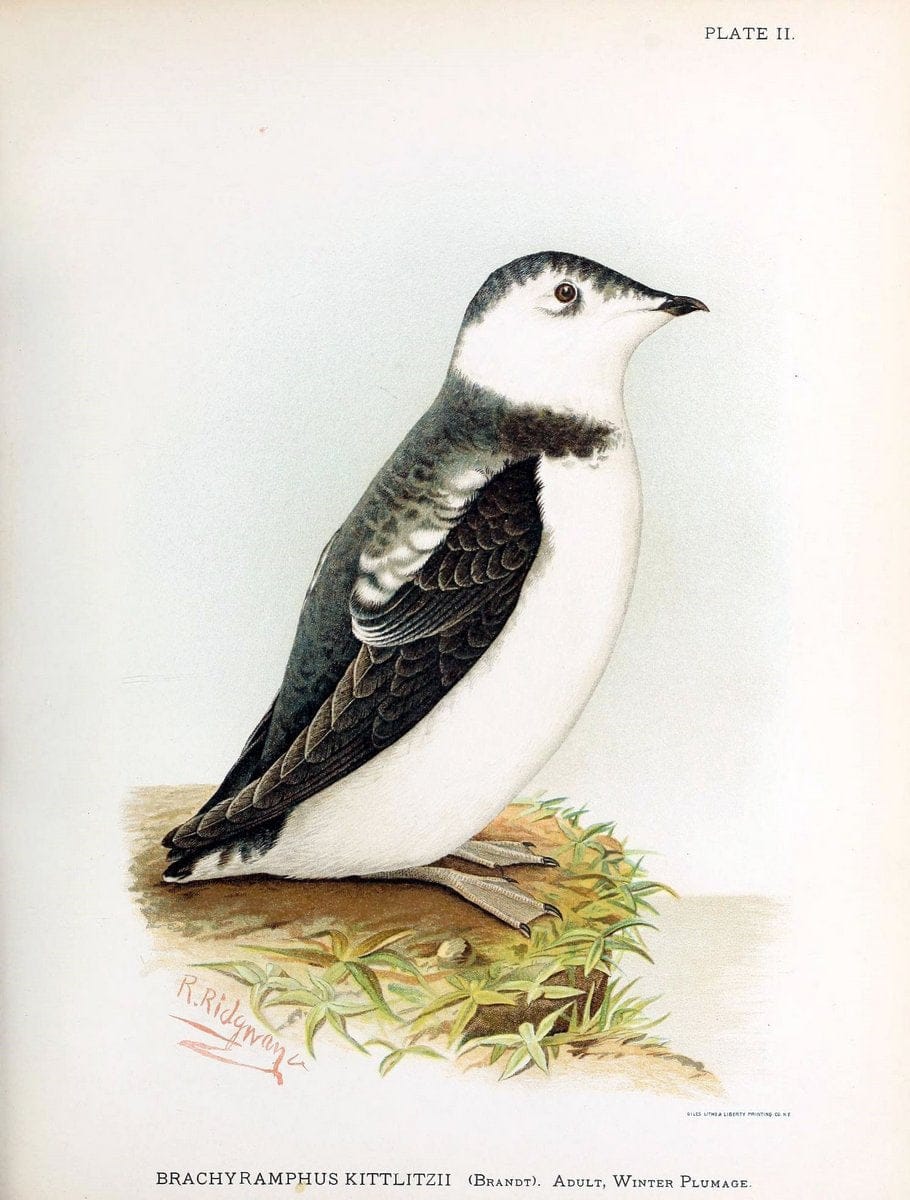 Contributions to the natural history of Alaska. Washington,Govt. Print. Off.1886.  | Alaska "Description and travel" Meteorology "Natural history" | Vintage Print Reproduction 448571