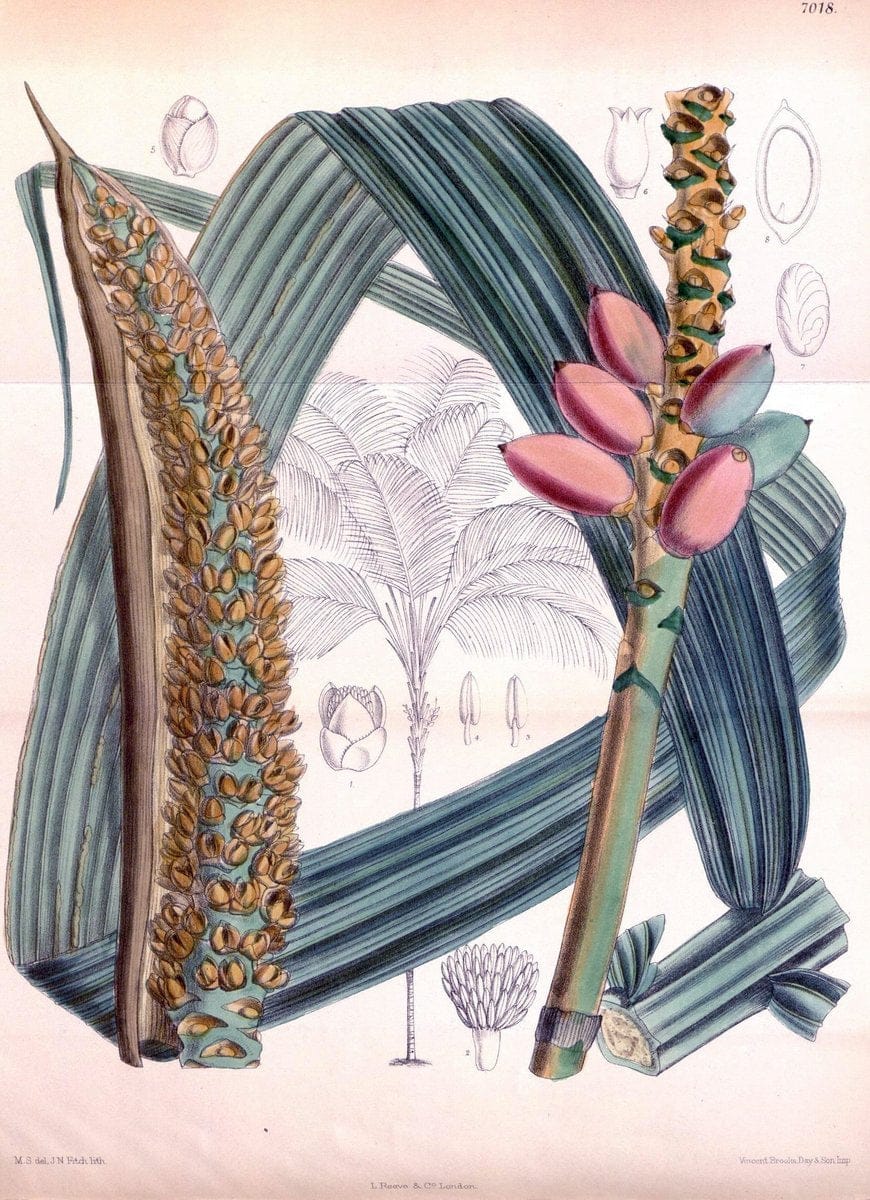 Dragable Image