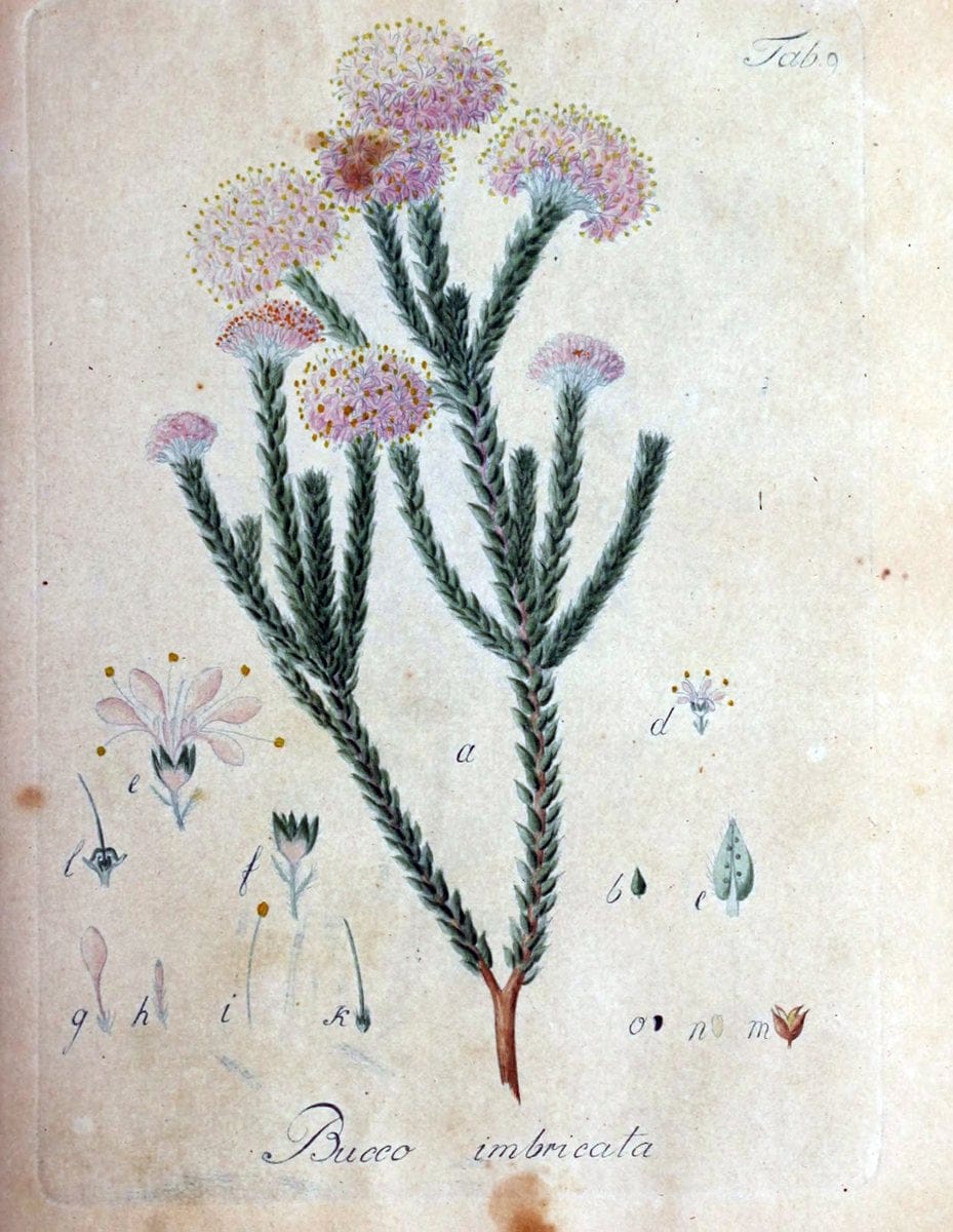 Dragable Image