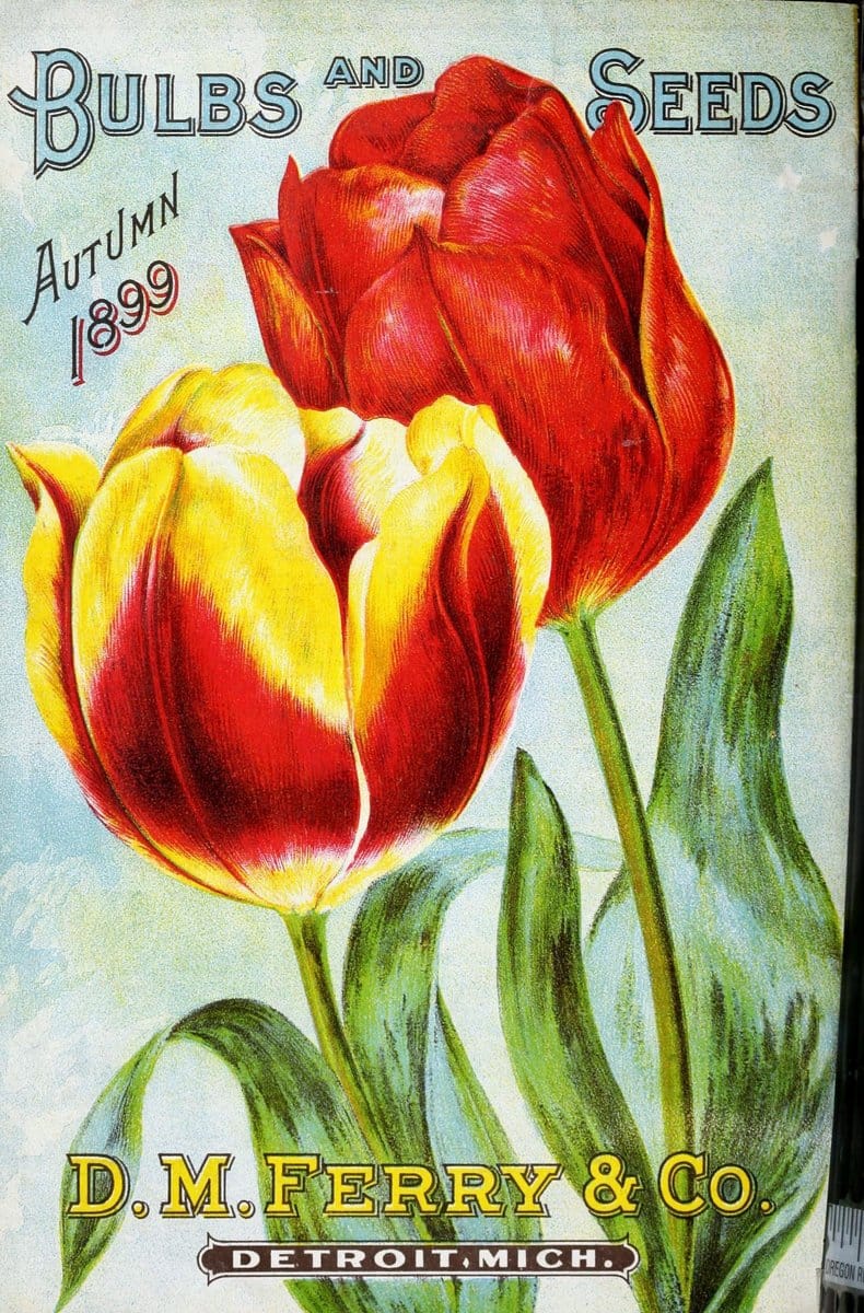 Bulbs and seeds :.Detroit, Mich. :D.M. Ferry & Co.,1896.  | "Bulbs (Plants)" Catalogs "D.M. Ferry & Co" Seeds  | Vintage Print Reproduction 449175