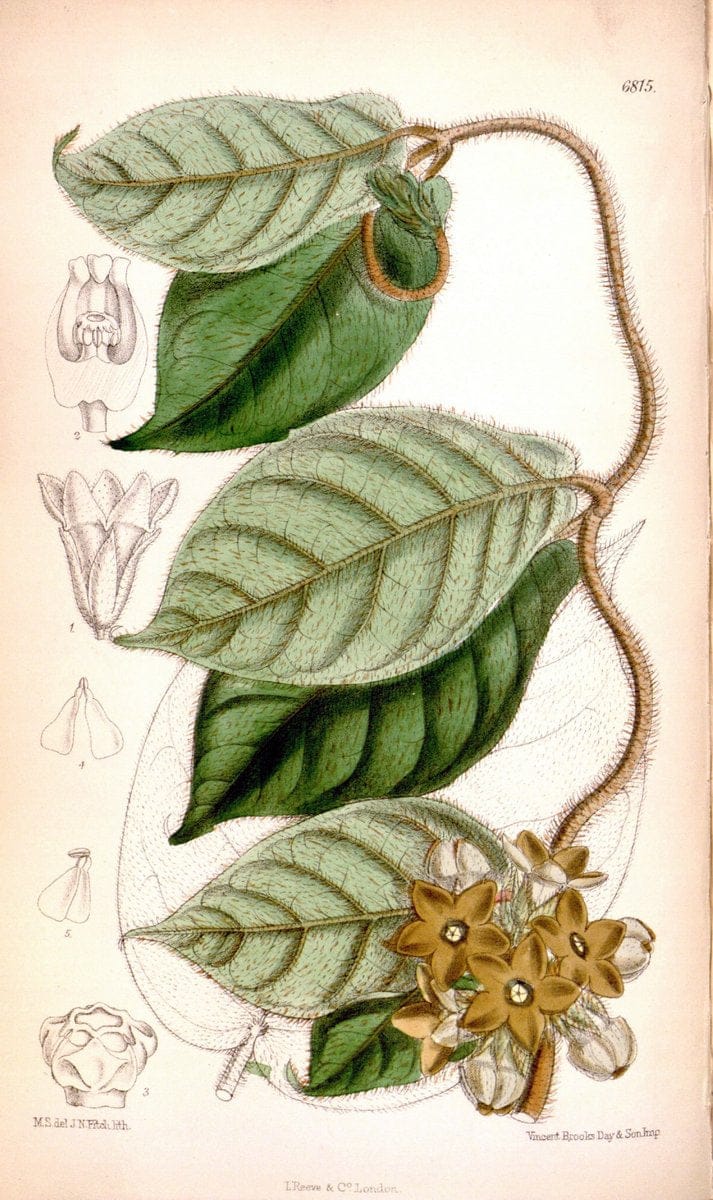 Dragable Image